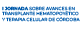 Logo evento