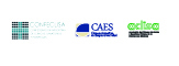 Logo evento